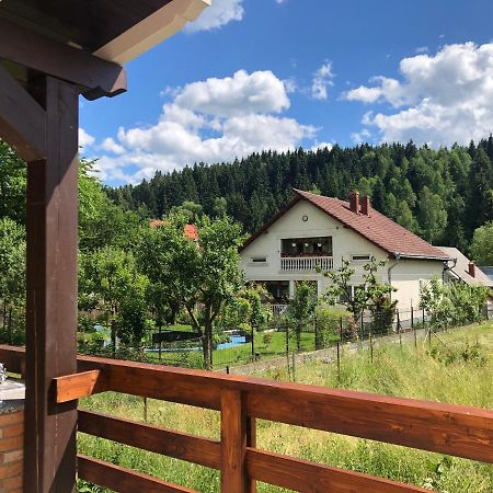 Pensiunea Exedra Hotel Borsa  Bagian luar foto