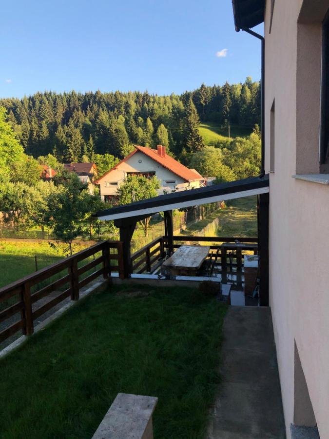 Pensiunea Exedra Hotel Borsa  Bagian luar foto