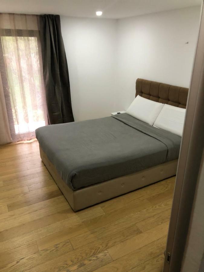 Pensiunea Exedra Hotel Borsa  Bagian luar foto