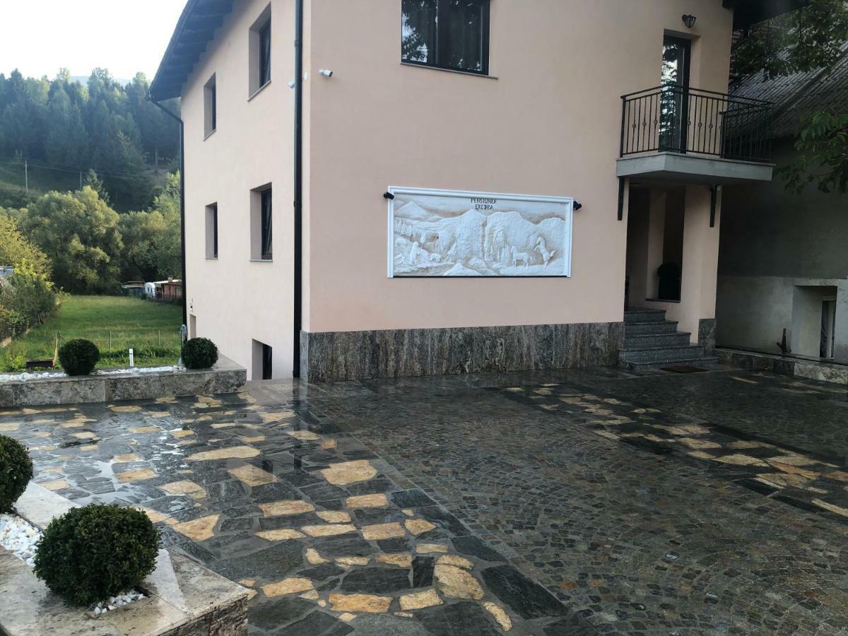 Pensiunea Exedra Hotel Borsa  Bagian luar foto