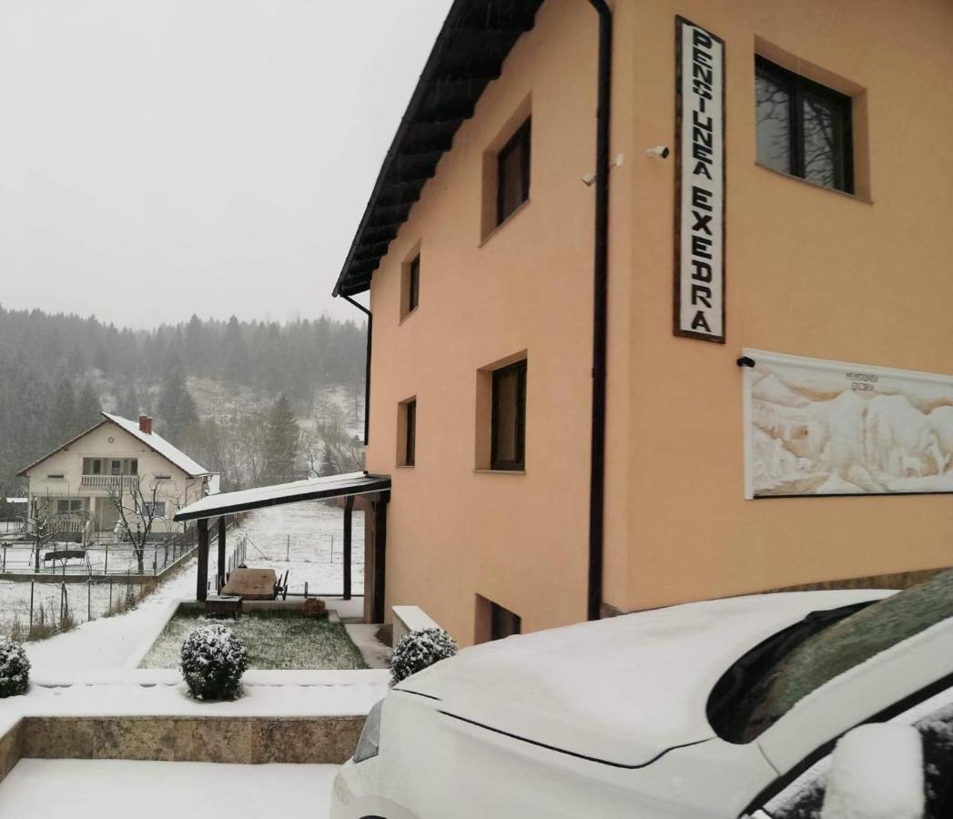 Pensiunea Exedra Hotel Borsa  Bagian luar foto