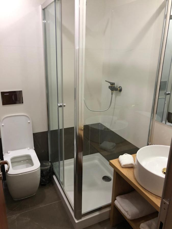 Pensiunea Exedra Hotel Borsa  Bagian luar foto